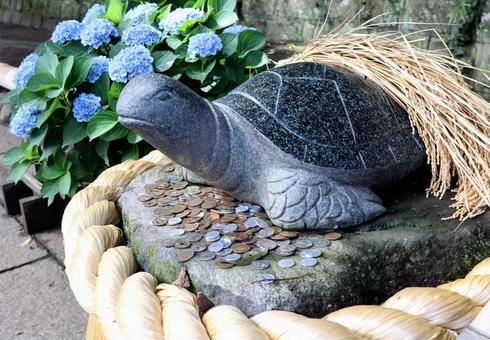 Photo, turtle, hydrangea, a shrine, 