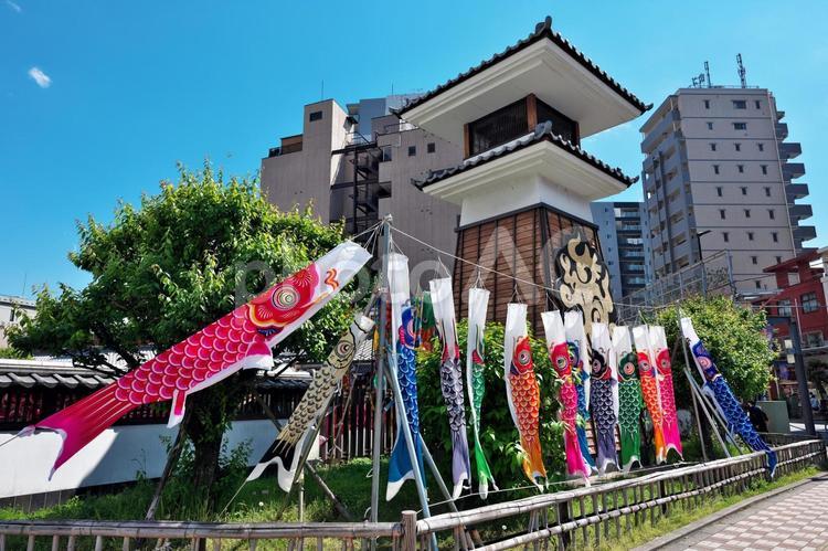 亀戸梅屋敷の火の見櫓と鯉のぼり 亀戸梅屋敷,こいのぼり,商業施設の写真素材