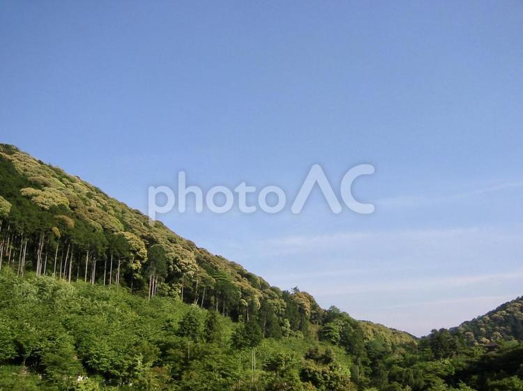 山林の風景 山,空,木の写真素材