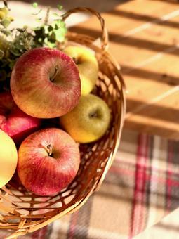 りんごとバスケット りんご,秋,冬の写真素材