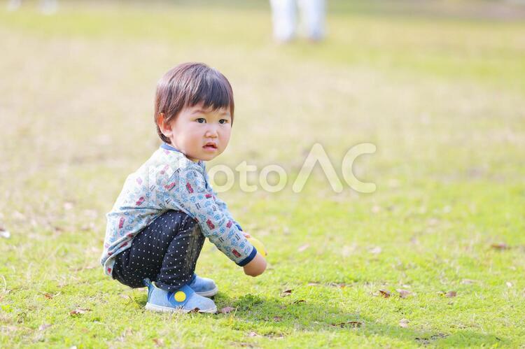 芝生にしゃがむ男の子 子供,男の子,芝生の写真素材