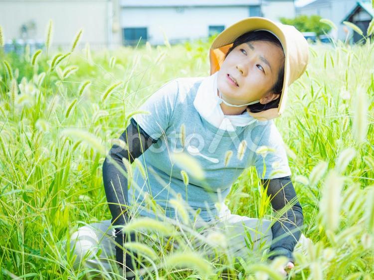 35：草むしりをする女性 草刈り,雑草,庭仕事の写真素材