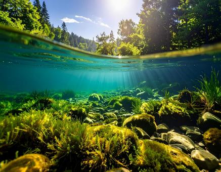 湖の底 湖の底の写真