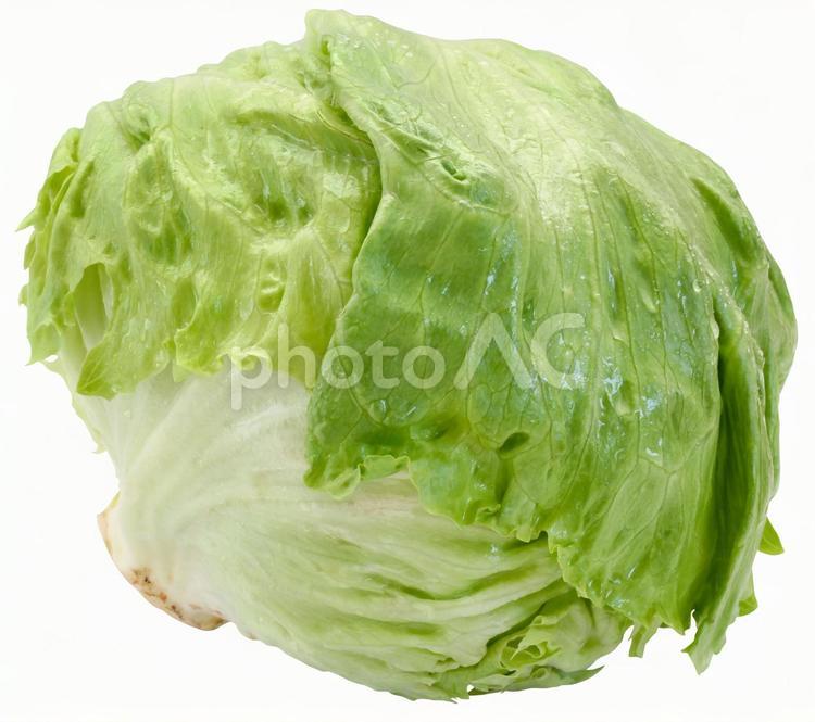レタス（PSDは背景透過・切り抜きパス入り） レタス,野菜,食べ物の写真素材