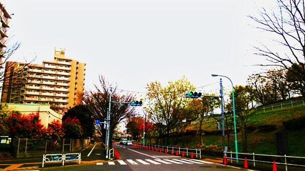 青信号の道路 青信号の道路の写真