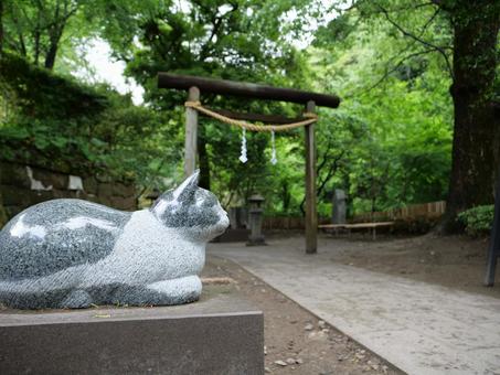 仙巌園 猫神社 仙巌園 猫神社の写真