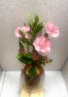 Photo, flower, vase, interior, 