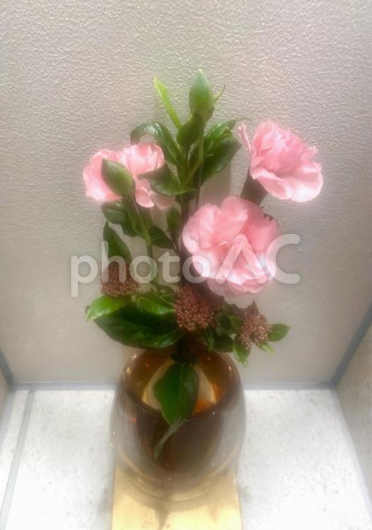 花瓶に刺した花　ピンクの花　飾り花 花,花瓶,vaseの写真素材