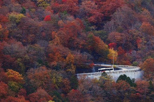 紅葉 紅葉 紅葉,秋,山の写真素材