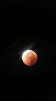 2025/9/8 皆既月食 千葉幕張 2025/9/8 皆既月食 千葉幕張の写真