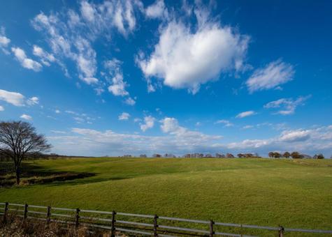 雄大な雲が流れる秋の広大な牧草地 牧草地,白い雲,林の写真素材