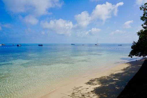 ケアンズの海の写真