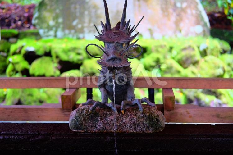箱根神社　手水 箱根神社,龍,手水の写真素材