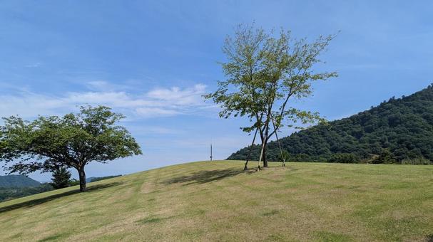 愛川公園と広場 愛川公園と広場の写真
