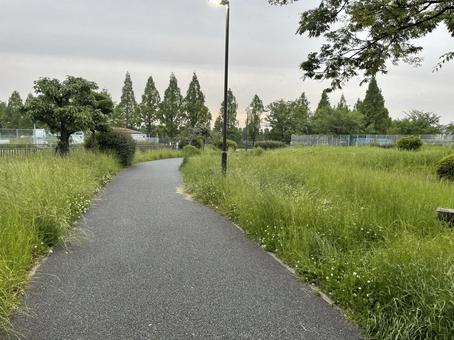 舗装された散歩道 舗装された散歩道の写真