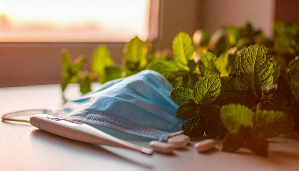 感染対策　マスクと体温計の写真