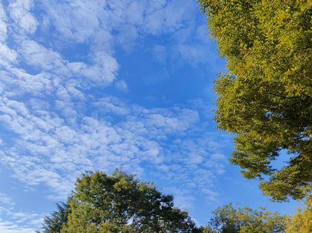 空 空の写真