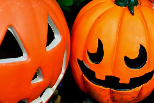 オバケカボチャの写真