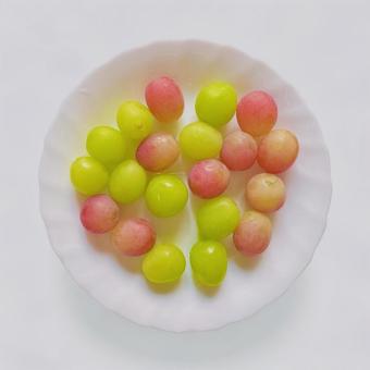 マスカット マスカットの写真