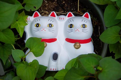 招き猫 招き猫 招き猫,縁結び,幸運の写真素材