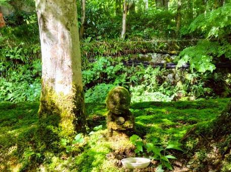 おさな地蔵 おさな地蔵 三千院,おじぞうさま,おさな地蔵の写真素材