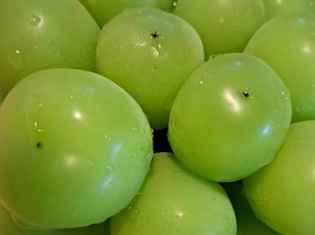 Photo, shine muscat, grape, background material, 