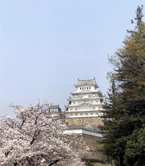 姫路城 姫路城の写真