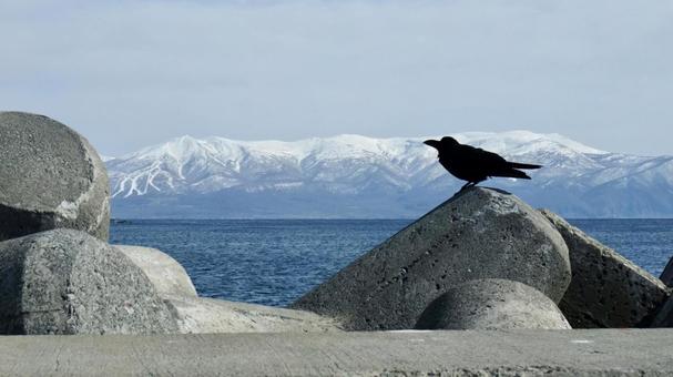 北海道の海辺 北海道の海辺の写真