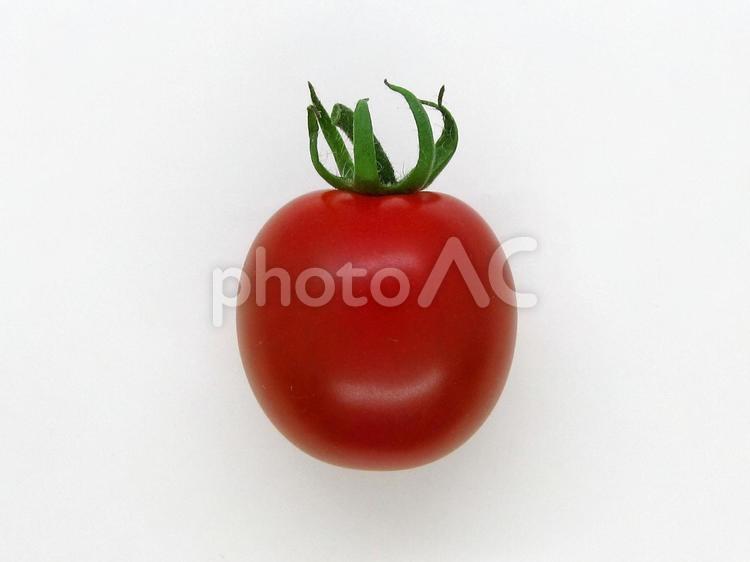 ミニトマトの実 ミニトマト,野菜,食べ物の写真素材
