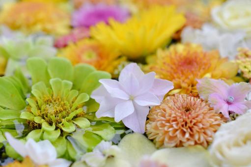 花手水 花手水の写真