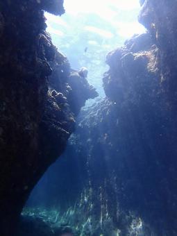 海底からの景色 海底からの景色 海,サンゴ,生き物の写真素材