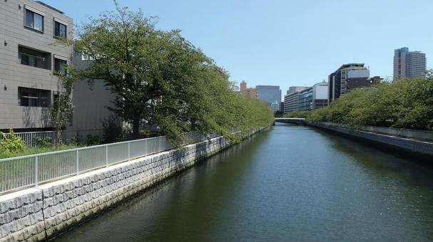 大横川 大横川の写真