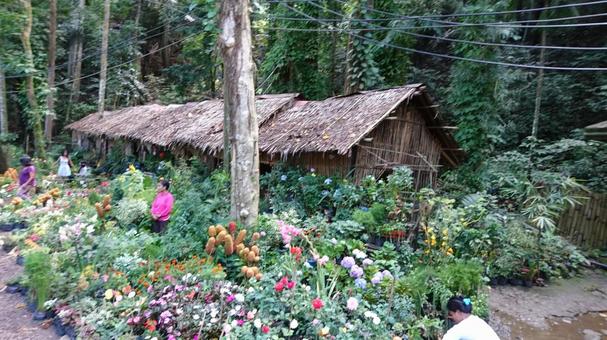 フィリピンの自然 風景,フィリピン,自然の写真素材