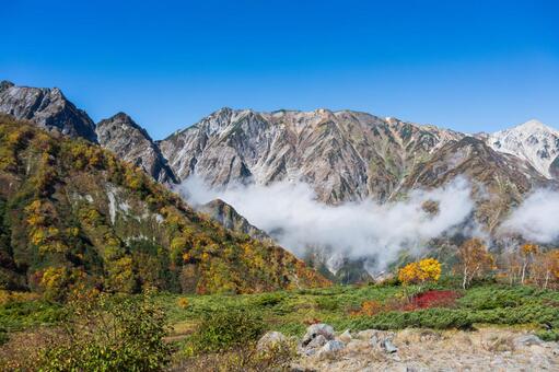 八方尾根の紅葉 八方尾根,長野,信州の写真素材