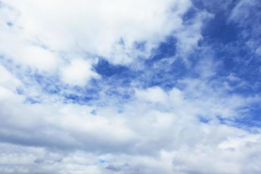 秋の空49 秋の空49 秋,青空,空の写真素材