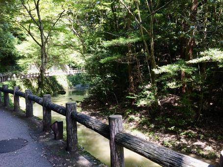 箕面公園 山,川,山道の写真素材