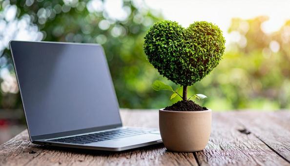 ハート型の小さな木とノートパソコン ハート型の小さな木とノートパソコンの写真