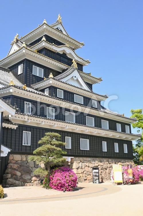 岡山城・天守閣 岡山,岡山城,烏城の写真素材