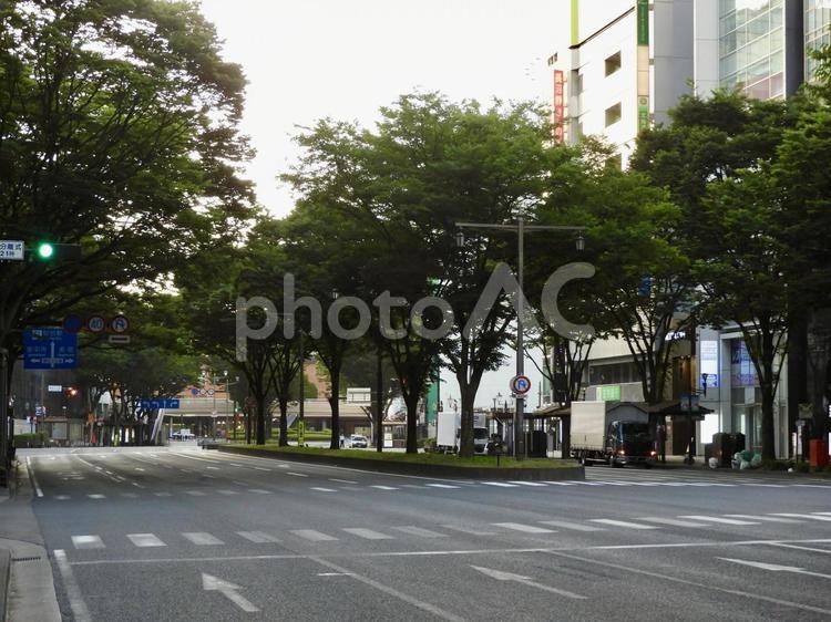 早朝の仙台市あおば通り2 青葉通り,青葉通,あおば通の写真素材