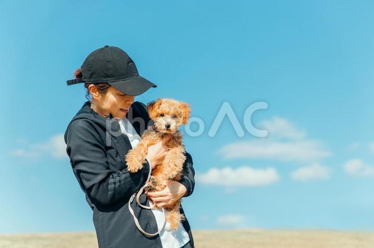 スポーツウェアで犬の散歩をする女性 犬,ペット,ペットシッターの写真素材