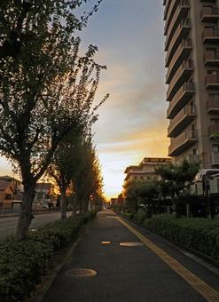 松原徳洲会病院 松原徳洲会,病院,朝焼けの写真素材