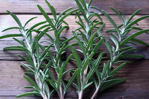 Rosemary (herb) on a wood grain background Rosemary (herb) on a wood grain background