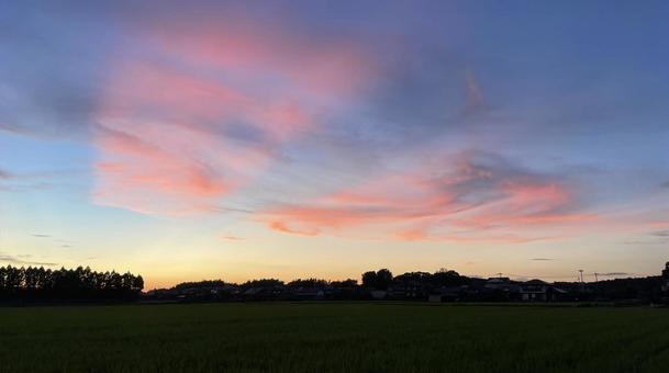 夕焼け 夕焼けの写真