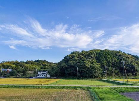 千葉県南部 8月の稲刈り後の田園風景 千葉県南部 8月の稲刈り後の田園風景 田園風景,農地,八月の写真素材