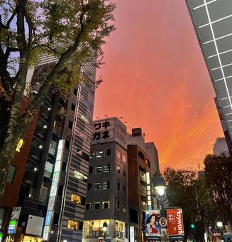渋谷の夕焼け 夕焼け,日の入り,サンセットの写真素材
