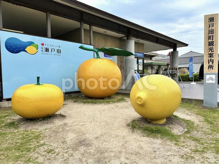 瀬戸田町観光案内所 瀬戸田町観光案内所 瀬戸田町観光案内所,瀬戸内,レモンの写真素材