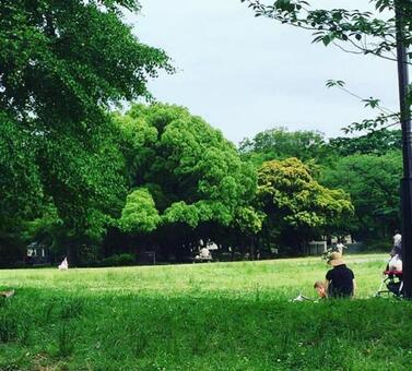 休日 休日の写真
