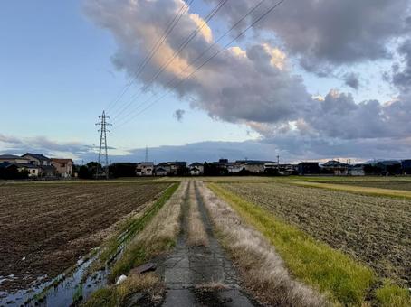 晩秋の田舎の夕暮れ　福井県あわら市 冬,地方,晴れの写真素材