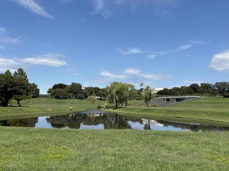 大宮第二公園　ひょうたん池。 大宮第二公園,ひょうたん池,調整池の写真素材