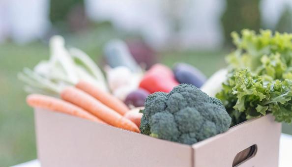 段ボールに入った野菜セット 段ボールに入った野菜セットの写真